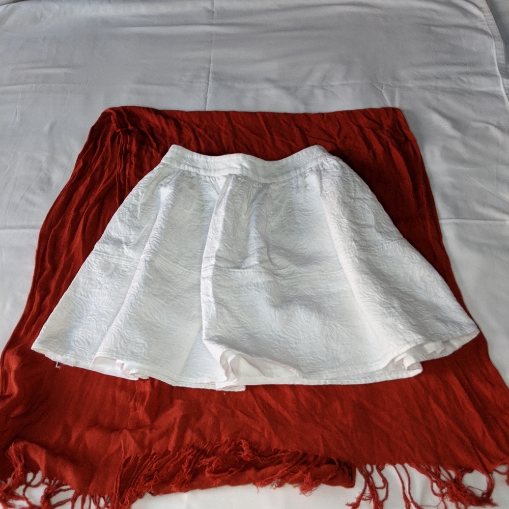Express Embroidered Mini Flare Skirt
